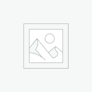 Miniature Dragon Model